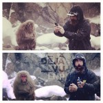 49c6444a87fe11e3a30f0ece84f12fdd_8