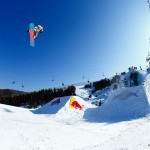 1081408_634918029905310_1162450127_n