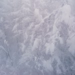 IMG_20141205_110908-resized