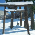 IMG_20141225_231044-resized