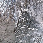 SBN-TRIP-FOR-REST-23