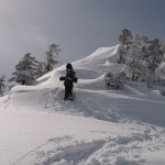 11102915_959248897427388_8920032468519356666_o