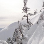 11136666_959248754094069_8397017719890695513_n