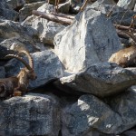 P1060612 のコピー