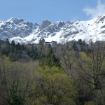 P1060797 のコピー