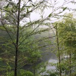 IMG_3558.JPG