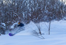 自然地形が作り出す魅惑のパウダー天国、湯沢中里