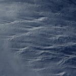 sbnfreerun-back-2