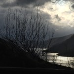 IMG_3456.JPG