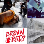BROWN RATS TOP