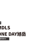 BYND-MDLS