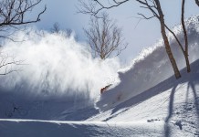 極上パウダーエリア「TSUGAPOW DBD」始動