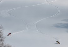 ホワイトワールド尾瀬岩鞍プレミアムファーストトラック レポ!