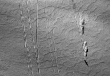 Enjoy The Ride〜最新型Duprazの魅力に迫る