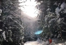 今までの固定概念に捉われないMIZOUが魅せる自由なスノーボーディング