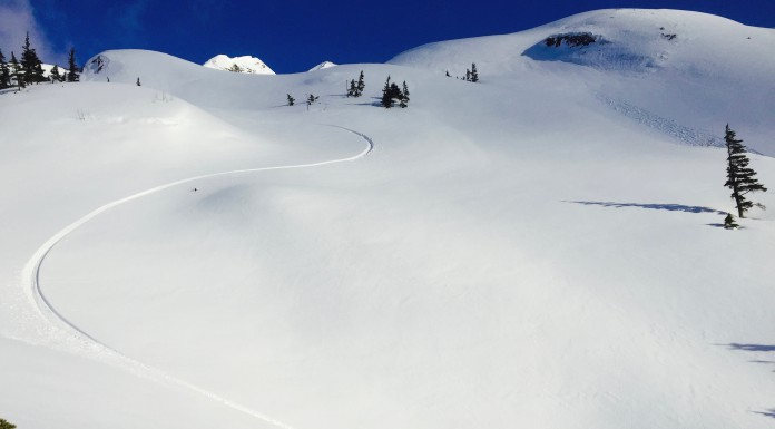 日本の仲間でアラスカトリップ
