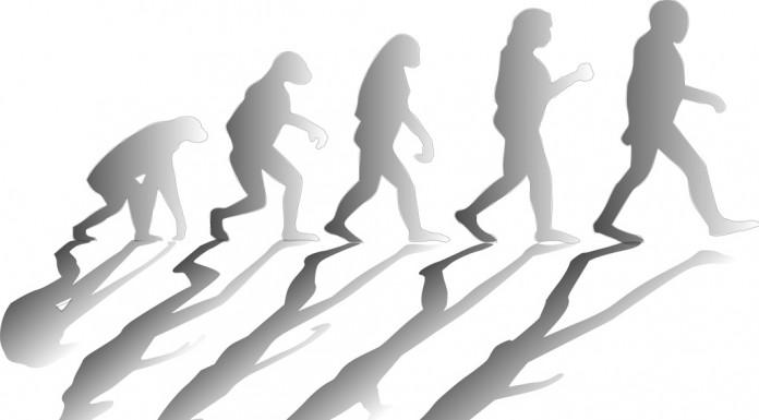 表現者主導の時代へ