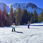 IMG_0602_s