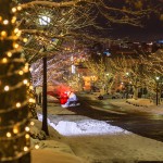 SDS_4398-Edit