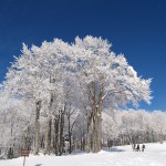 topics3_P1030493
