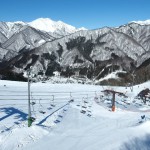 20180207kamoshika