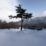 IMG_0094のコピー