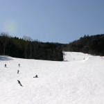 IMG_3481