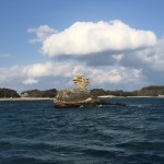 IMG_5699