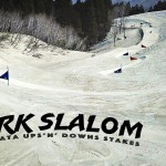 パークスラロ.00_00_50_05.Still001