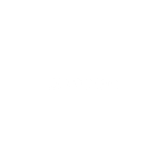 burton_slider