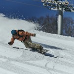 カービング BF4V9658のコピー